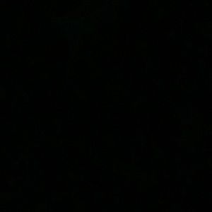 Meet your Posher, Hibo